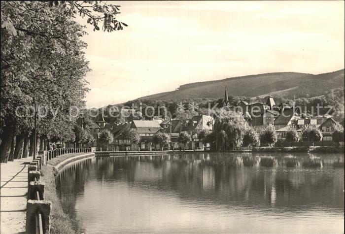 Ilsenburg Harz am Forellenteich