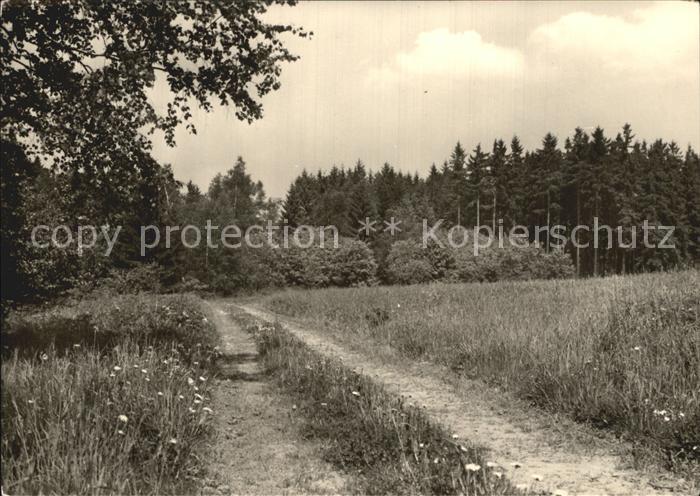 Plauen Vogtland Feldweg