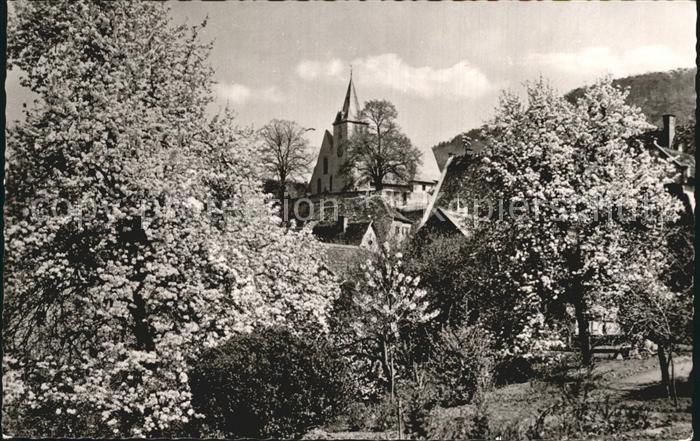 Zwingenberg Bergstrasse Baumbluete