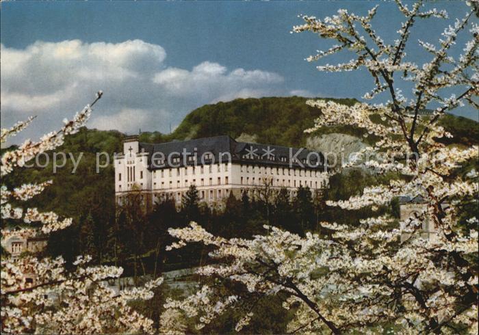 Vallendar Pallotti Haus Baumbluete