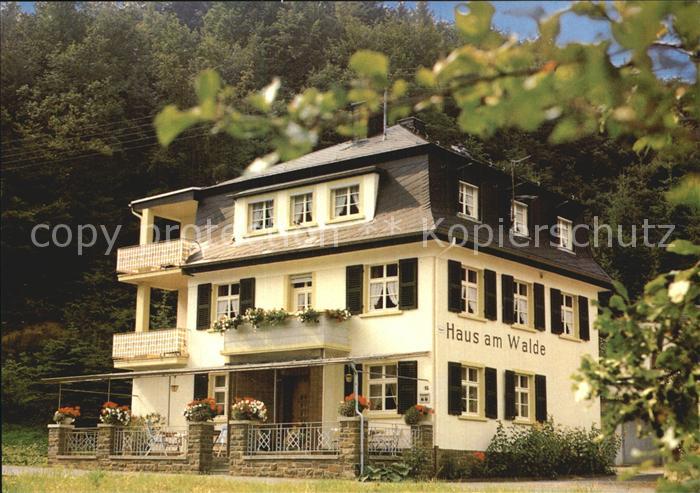 Brodenbach Pension Haus am Walde