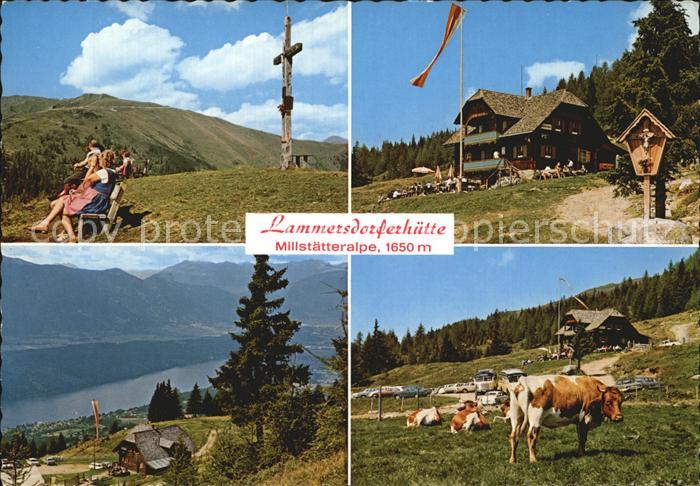 Millstatt Millstaettersee Lammersdorferhuette Millstaetteralpe Kuehe Jufenhoehe