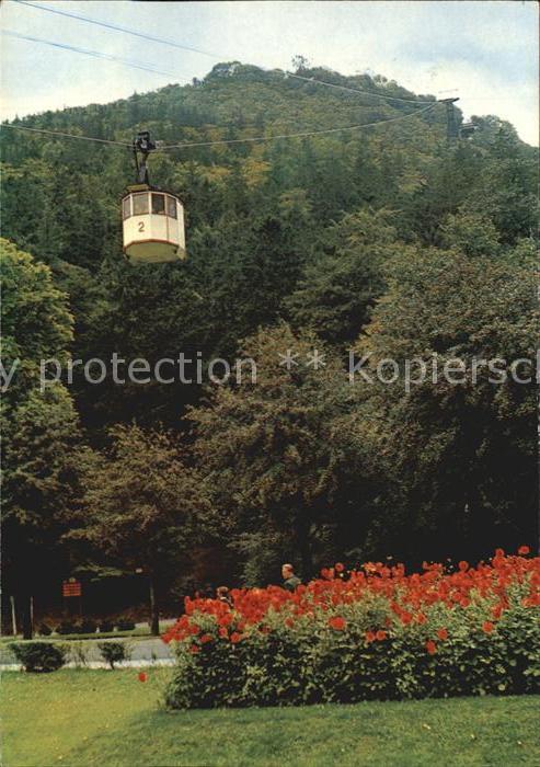 Bad Harzburg Schwebebahn Blumenbeet