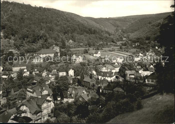 Schwarzburg Thueringer Wald Blick ueber die Stadt