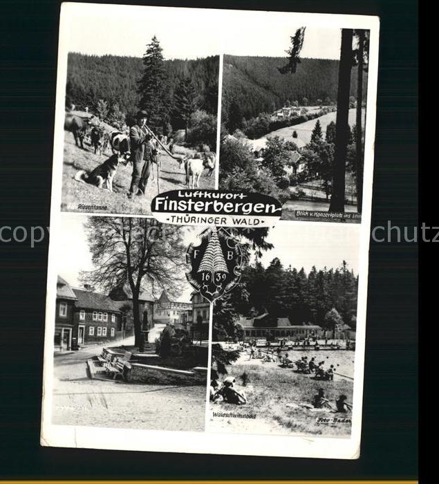 Finsterbergen Riesentanne Viehhirte Hund Platz Waldschwimmbad Luftkurort