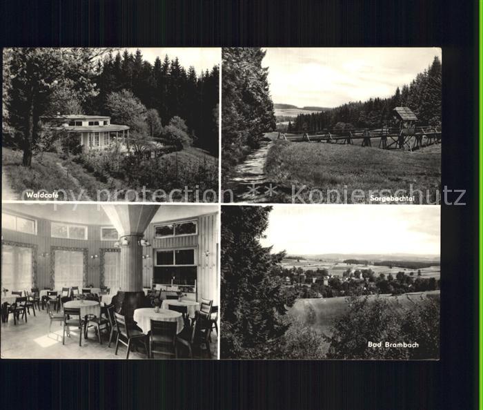 Bad Brambach Waldcafe Sorgebachtal