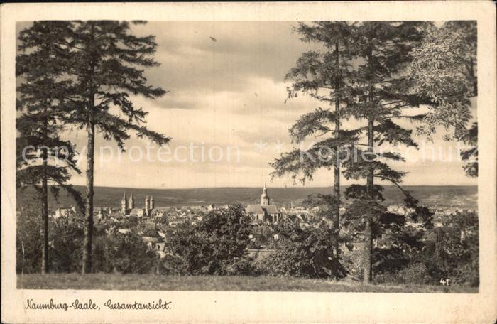 Naumburg Saale Gesamtansicht