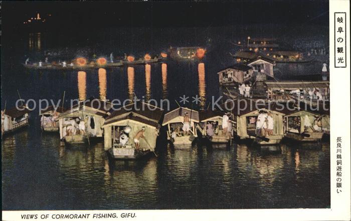 Gifu Cormorant Fishing