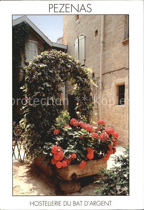 Pezenas Hostellerie du bat d`Argent