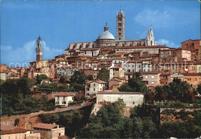 Siena Panorama