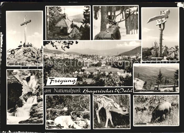 Freyung Nationalpark