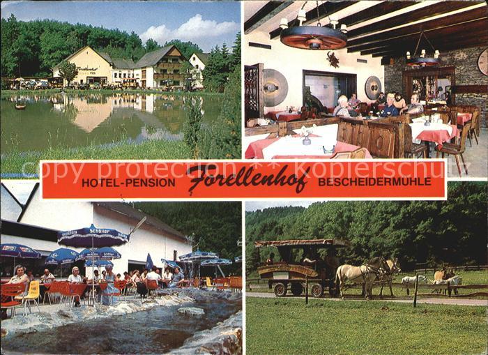 Bescheid Hermeskeil Hotel Forellenhof