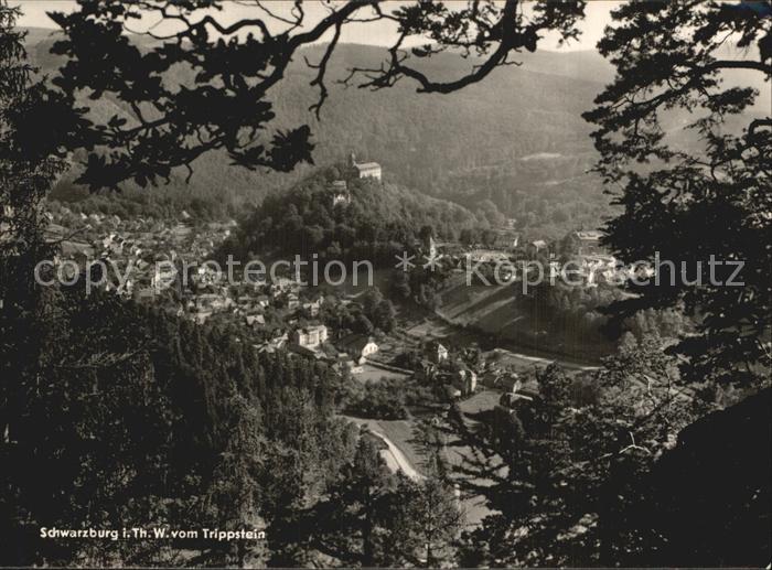 Schwarzburg Thueringer Wald Trippstein