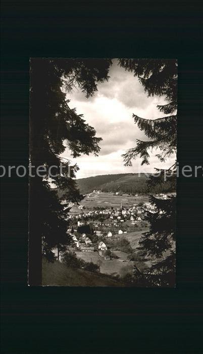 Baiersbronn Schwarzwald Totalansicht