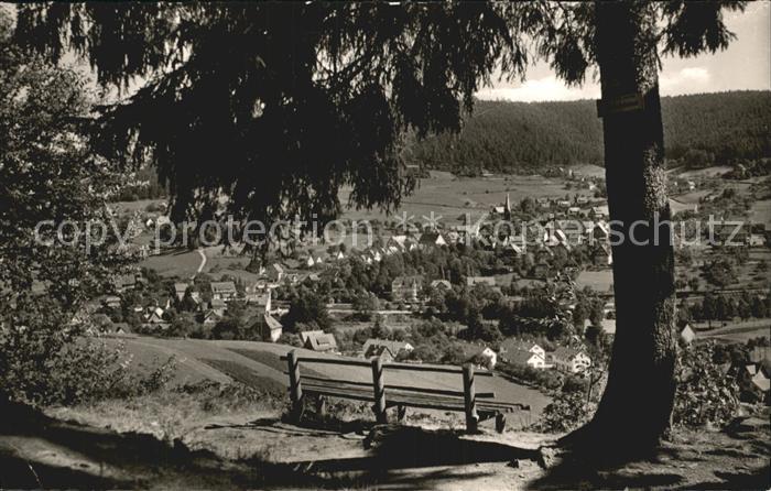 Baiersbronn Schwarzwald Totalansicht