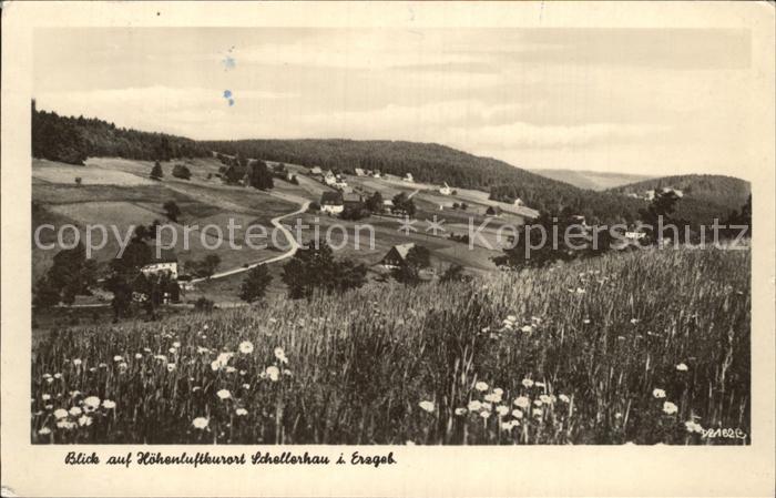 Schellerhau Panorama