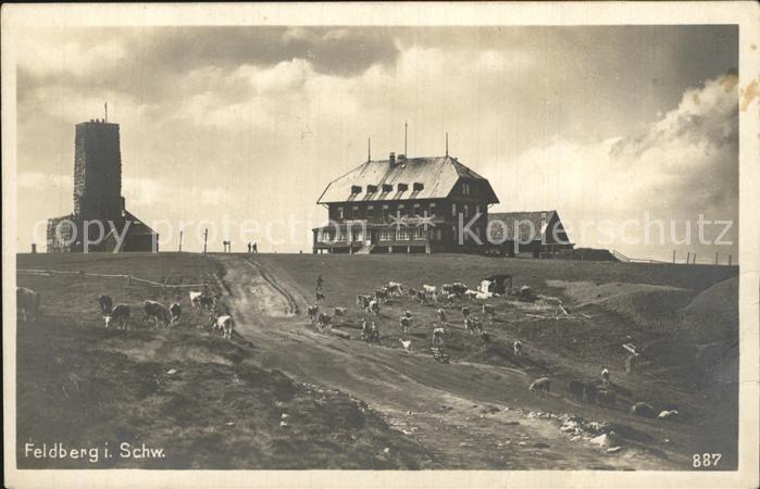 Feldberg Schwarzwald Feldberger Turm Feldberger Hof