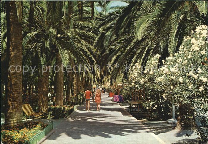 San Benedetto del Tronto Viale delle Palme