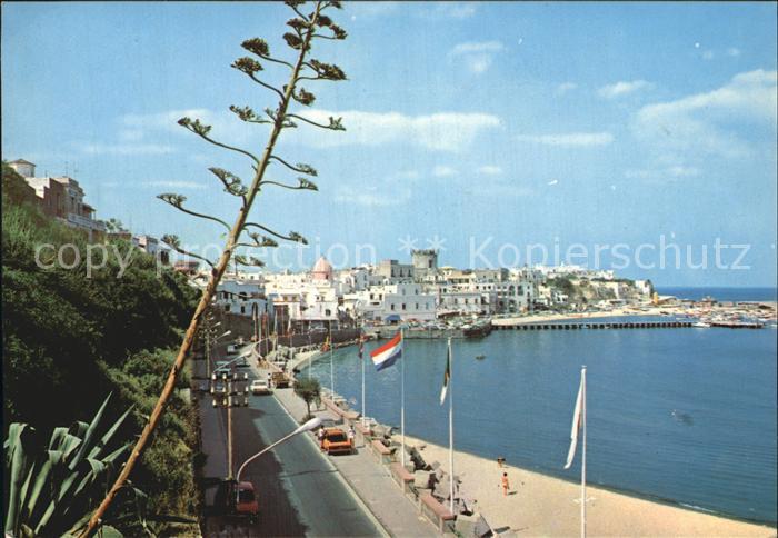 Forio d Ischia Panorama