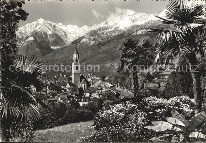 Merano Meran Panorama