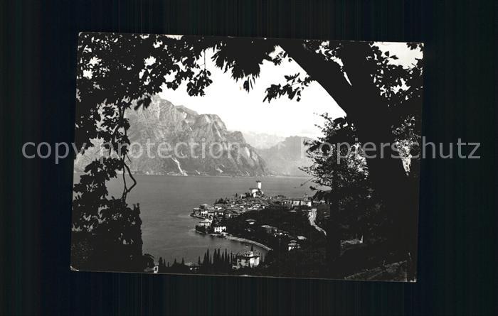 Malcesine Lago di Garda Panorama