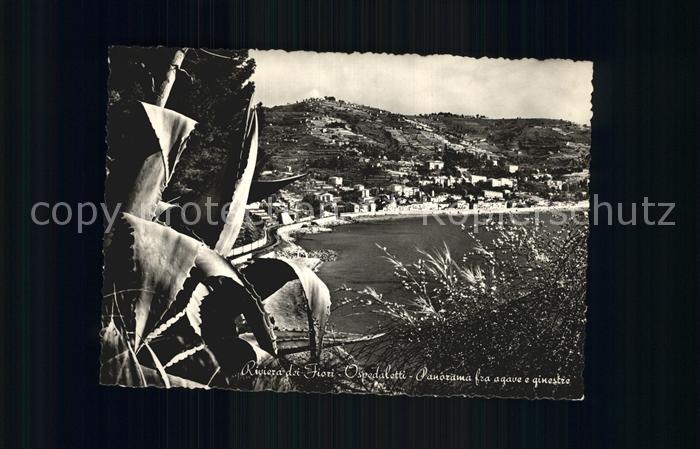 Ospedaletti Panorama fra agave ginestre