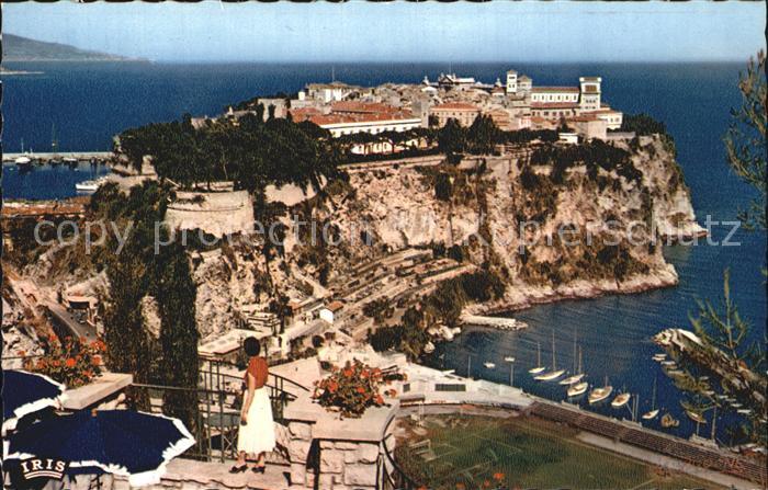 Monaco Le Rocher de Monaco vu du Jardin Exotique