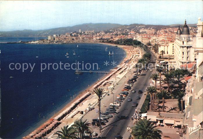 Cannes Alpes-Maritimes La Croisette et le Suquet
