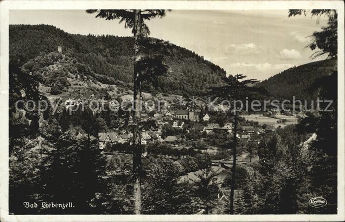 Bad Liebenzell Panorama