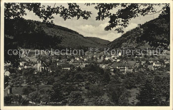 Bad Liebenzell Panorama