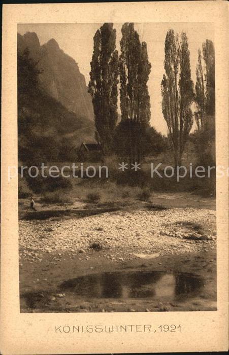 Koenigswinter Landschaft Pappeln Photogravur