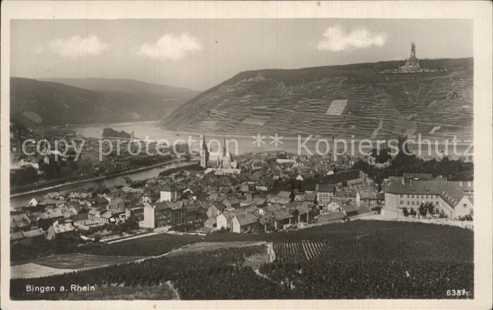 Bingen Rhein Panorama mit Niederwalddenkmal