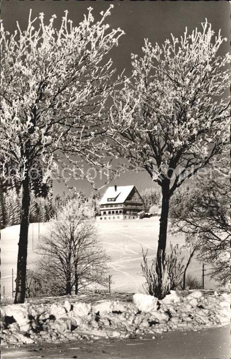 Saig Schwarzwald Cafe Alpenblick Pension Winterlandschaft