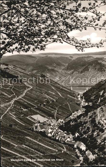 Steeg Bacharach Panorama Weindorf mit Blick zum Rhein Weinberge