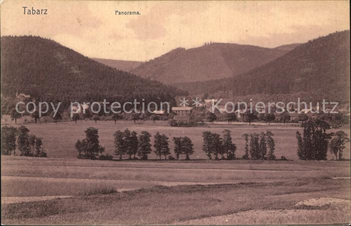 Tabarz Panorama
