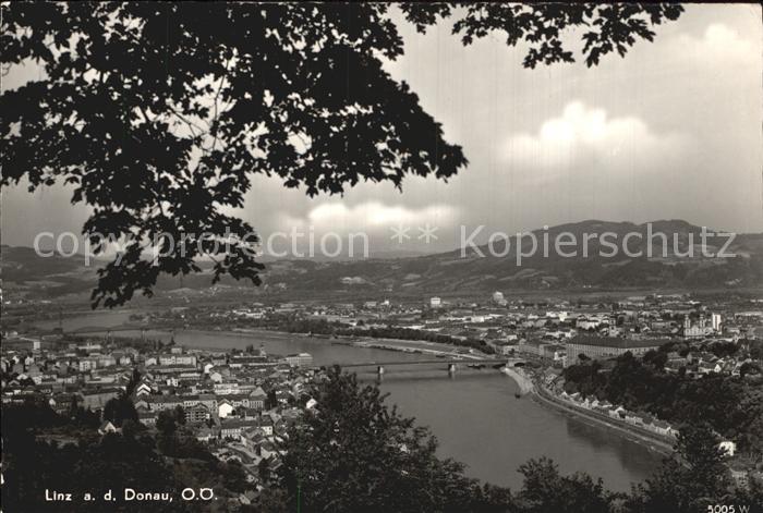 Linz Donau Panorama