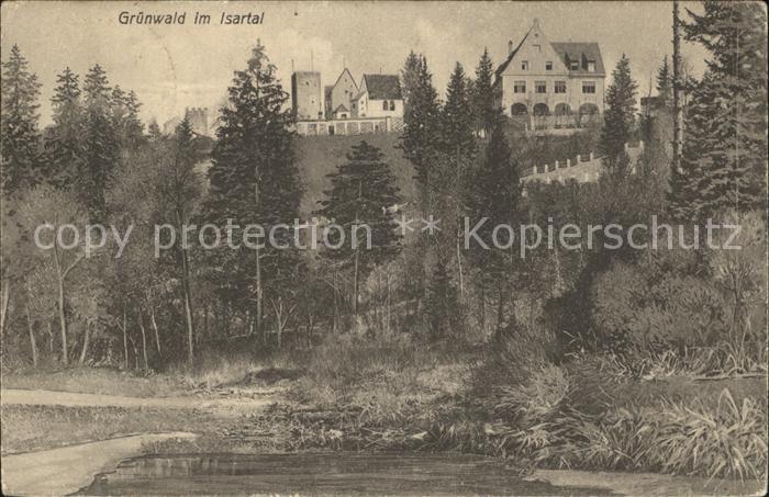 Gruenwald Muenchen im Isartal