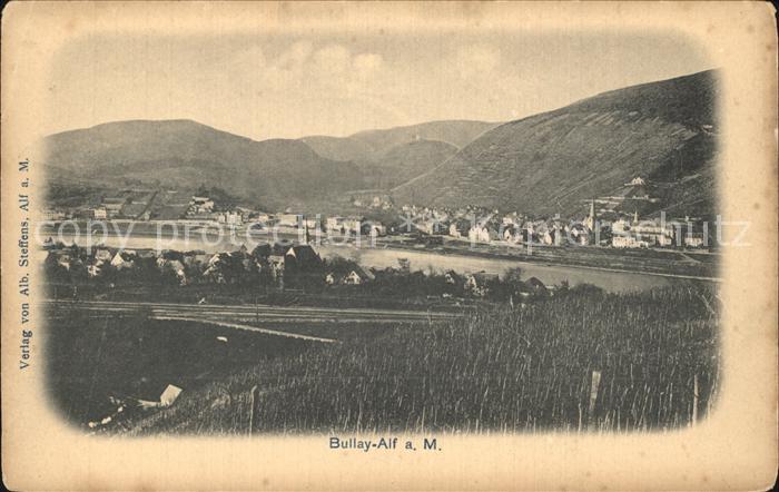 Bullay Mosel Moselpartie