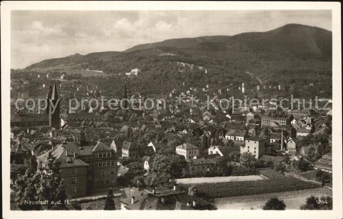 Neustadt Haardt Fliegeraufnahme