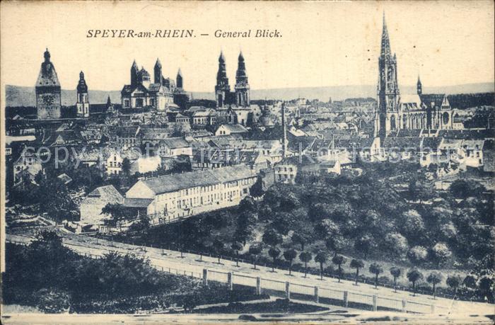 Speyer Rhein General-Blick mit Dom und Kirchen
