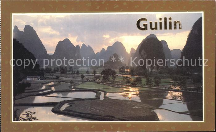 Guilin Green Paks Rosy Clouds