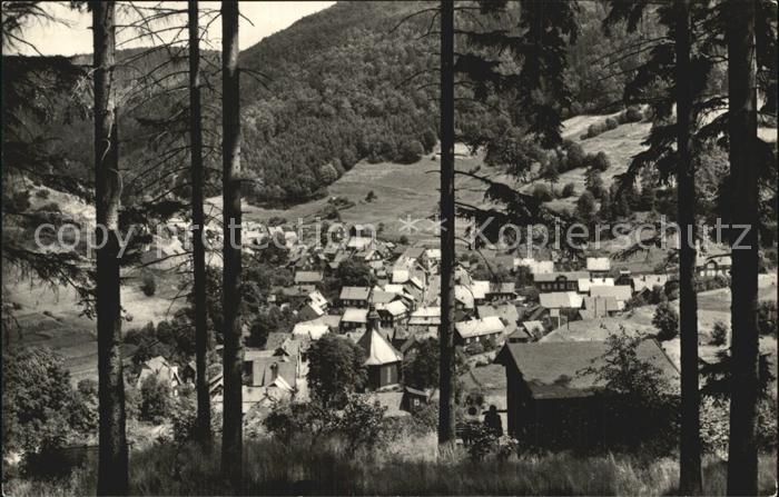 Giessuebel Schleusegrund Ortsansicht