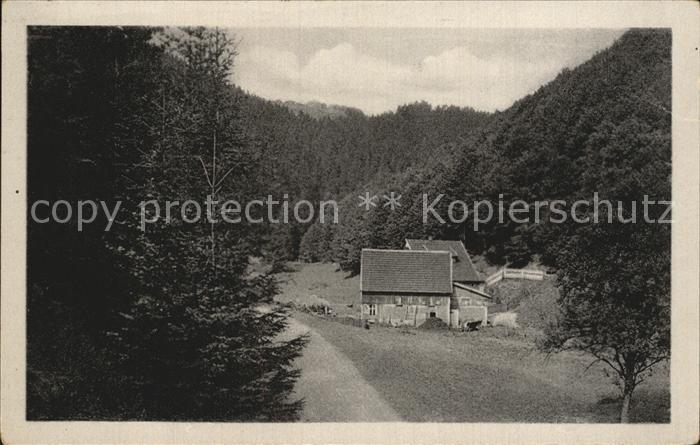 Frauenwald Thueringen Traenkbachmuehle