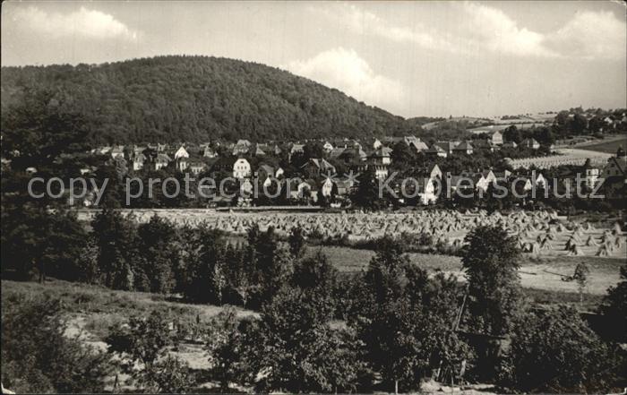 Hainsberg Sachsen Panorama