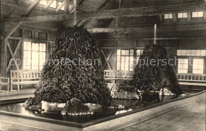 Bad Sulza Zerstaeuberhalle