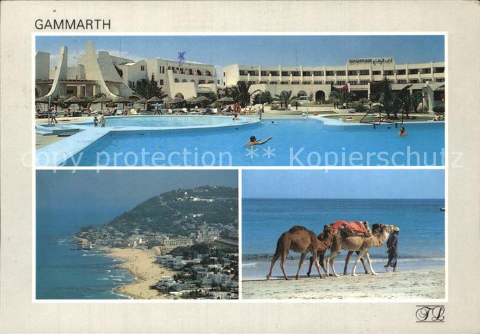 Gammarth Hotel Cap Catharge Swimmingpool Strand Kamelreiten