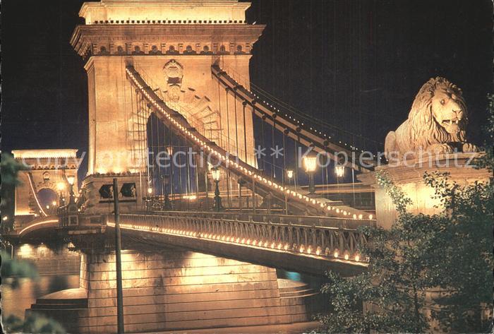 Budapest Kettenbruecke bei Nacht