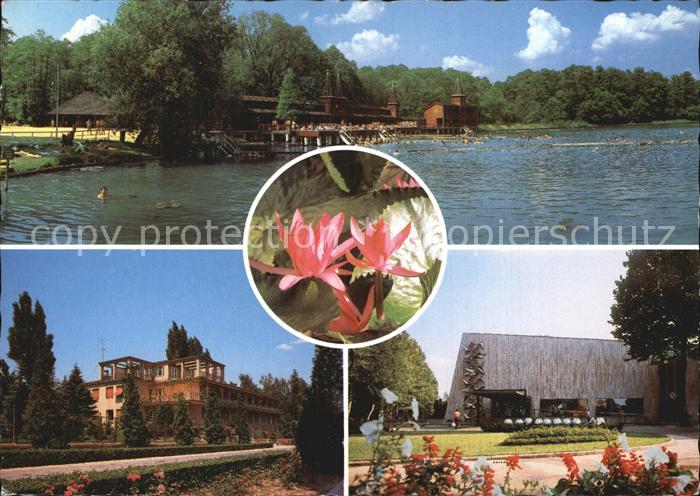 Heviz Heilbad Teilansichten Park