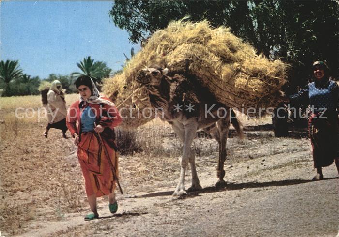 Kerkennah La Moisson