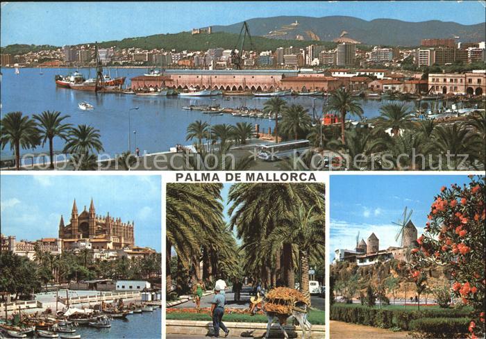 Palma de Mallorca Panorama Hafenpartie Promenade Muehlen